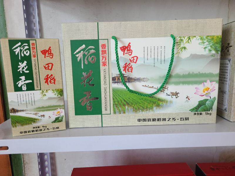 五常龙凤山稻花香2号大米，订单种植欲购从速，批发零售。
