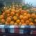 【热销】蜜橘陕西城固县蜜橘，颜色亮，果肉甜，无渣，