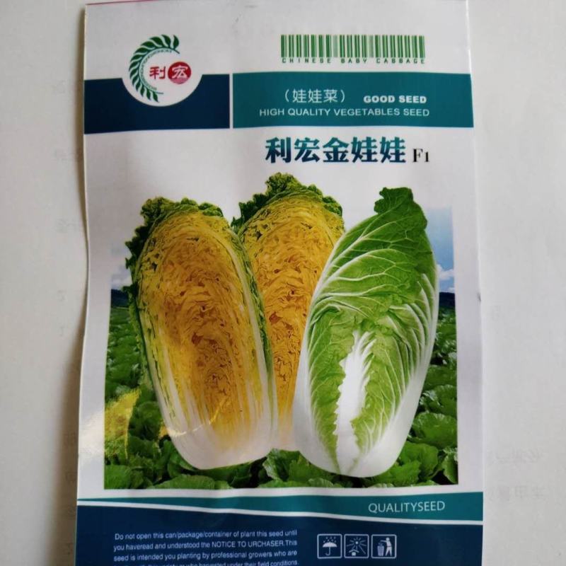 娃娃菜种子黄心杂交品质种娃娃菜种子包正欢迎咨询