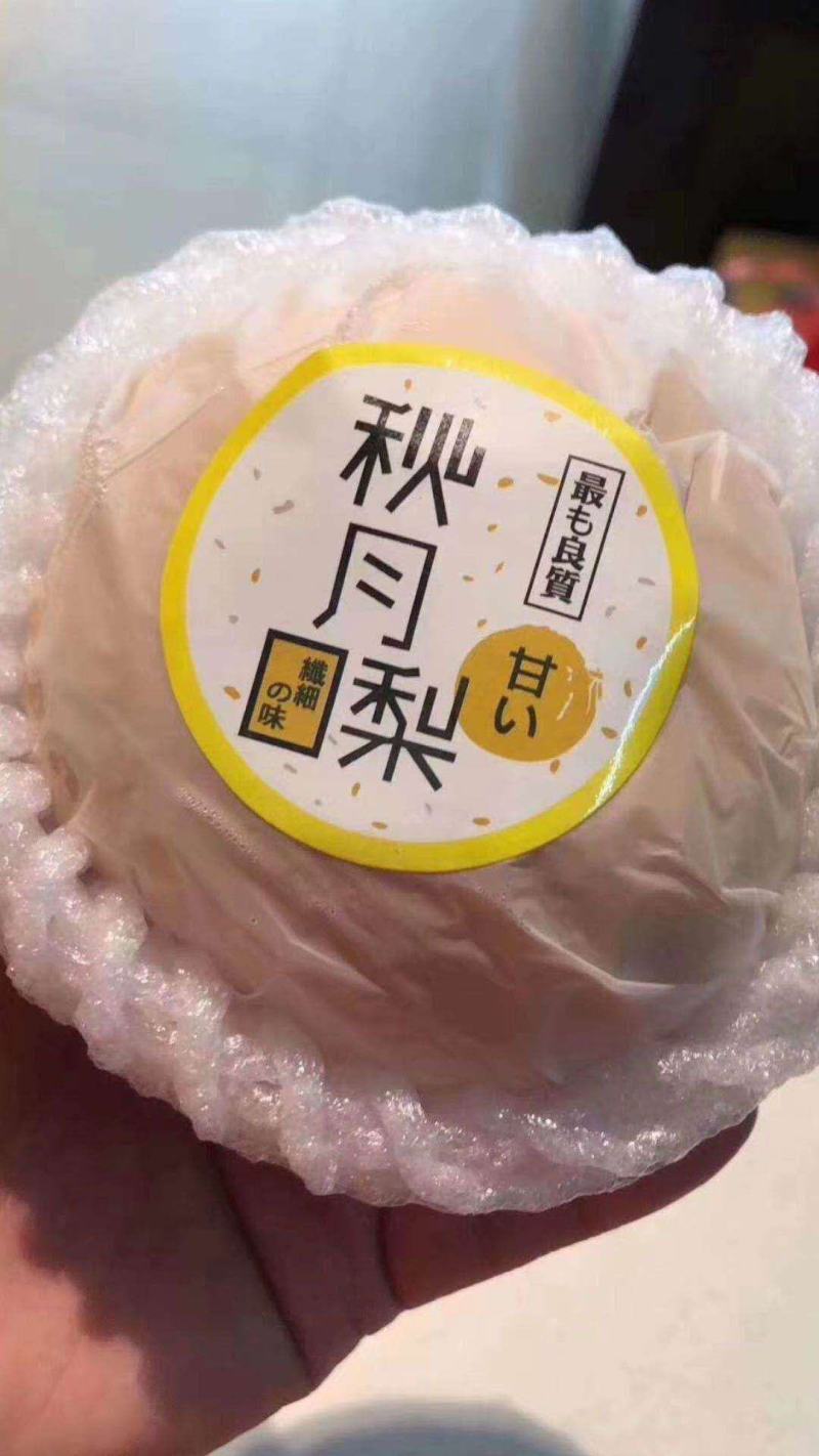 【精品】秋月梨大量上市含糖量高品质有保证大量有货！
