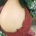 三红蜜柚子，口感好水份足，颜色好看。