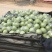 精品王林苹果大量上市口感脆甜价格便宜，速来抢购
