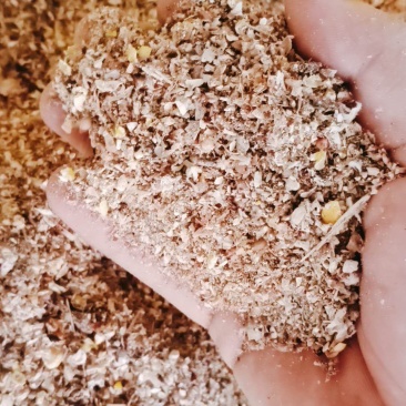 枣粉碎玉米，加工精致厂家直供好饲料质优价廉！