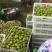 威海荣成青皮无花果大量供应工厂果，罐头原料FD原料等