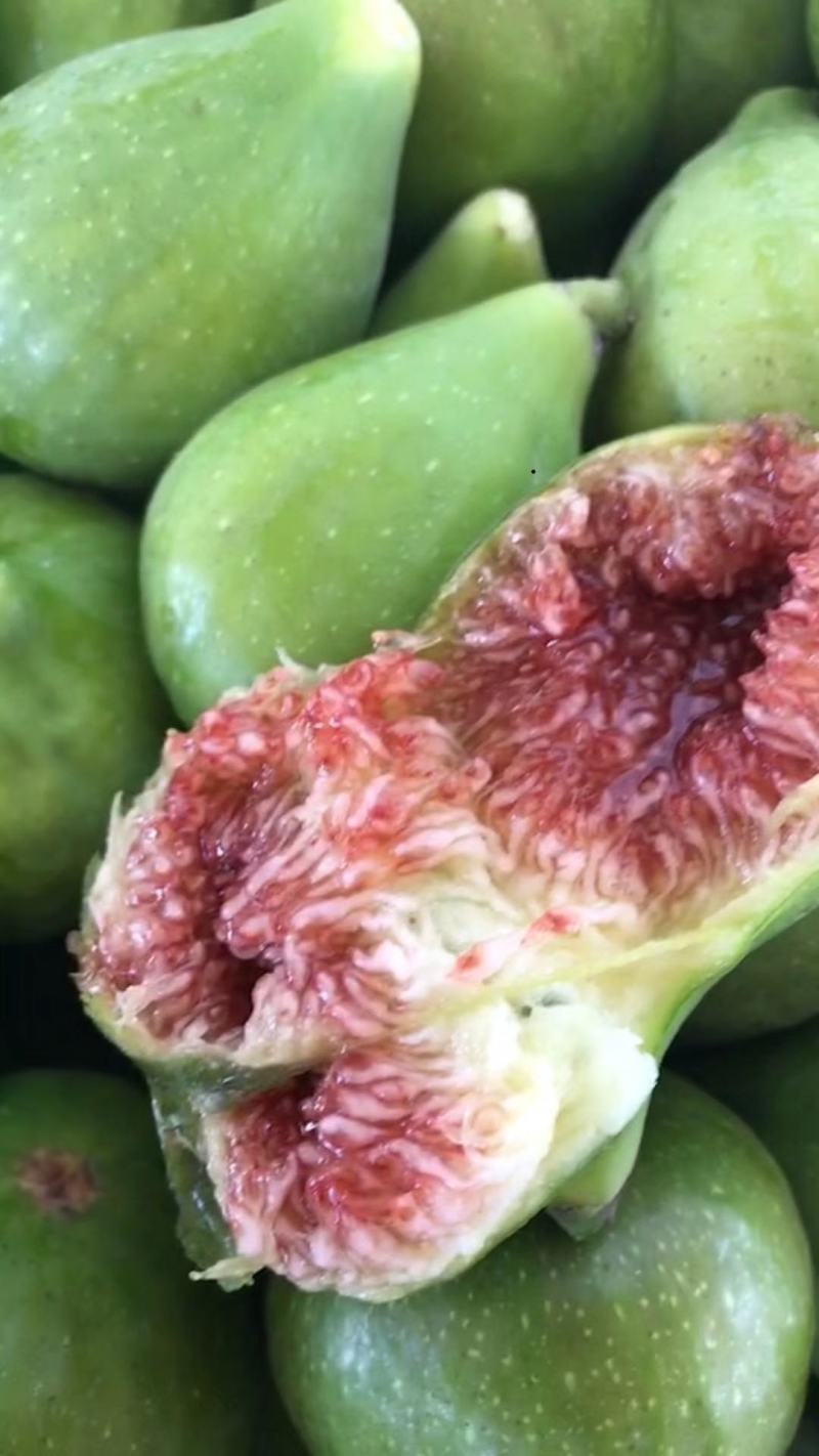 威海荣成青皮无花果大量供应工厂果，罐头原料FD原料等