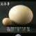 常年供应各种规格非洲鸵鸟，面向全国包邮，包活，包技术
