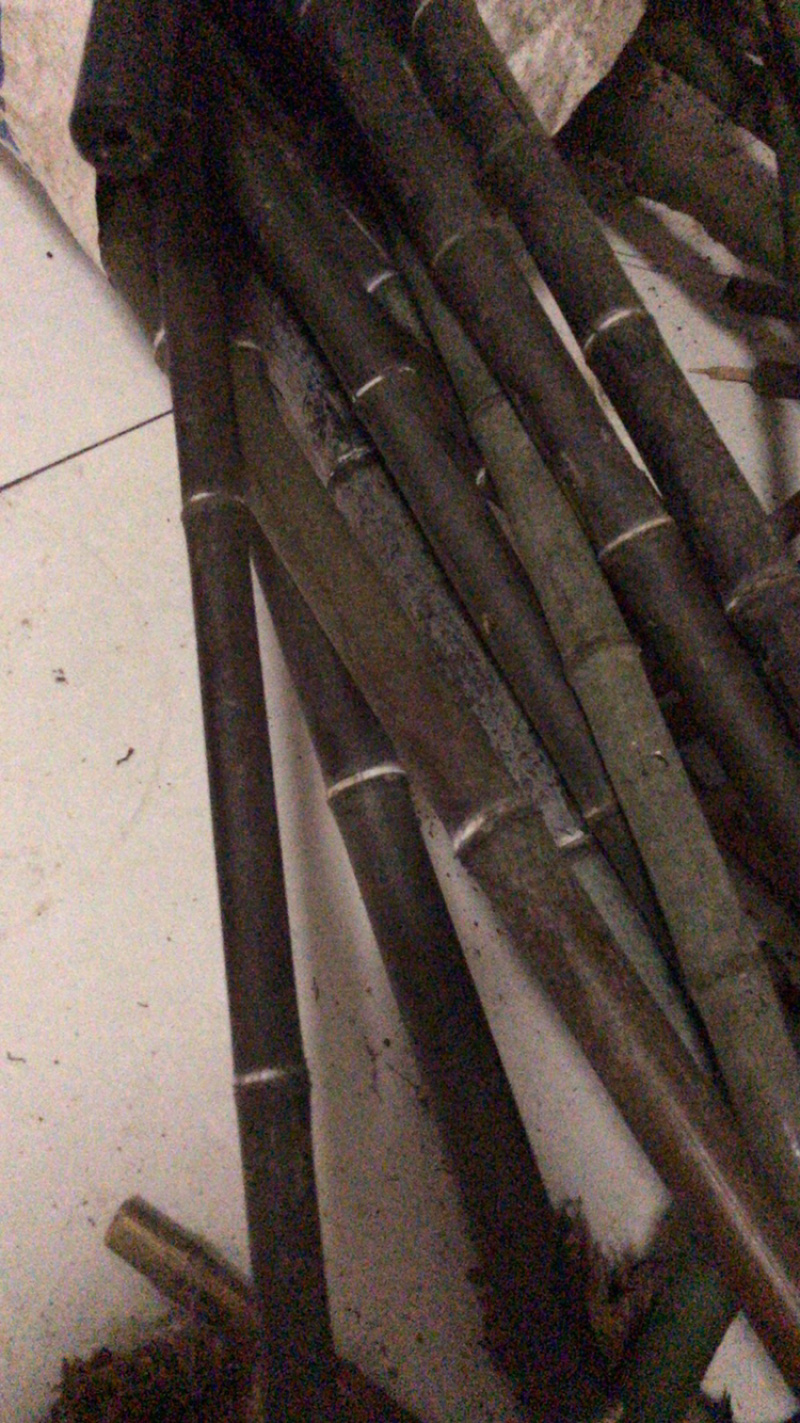 实心竹紫竹...........