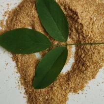 量大优惠DDGS喷浆玉米皮含高蛋白纤维的优质饲料