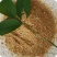 量大优惠DDGS喷浆玉米皮含高蛋白纤维的优质饲料
