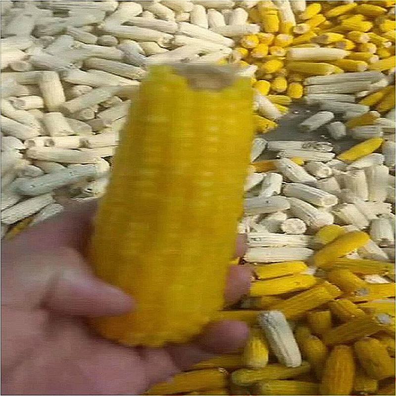 厂家直销适口性好的熟玉米产品质量可靠有保障价格低