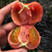 西红柿苗荷兰进口普罗旺斯西红柿苗普罗旺斯西红柿种子