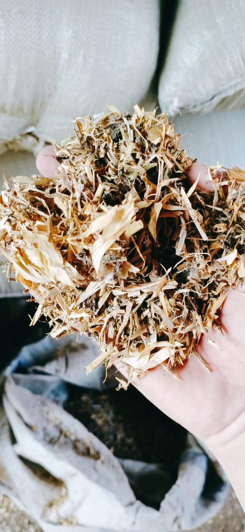 豌豆秧，牛羊好料质量保障品质优渥！价格公道