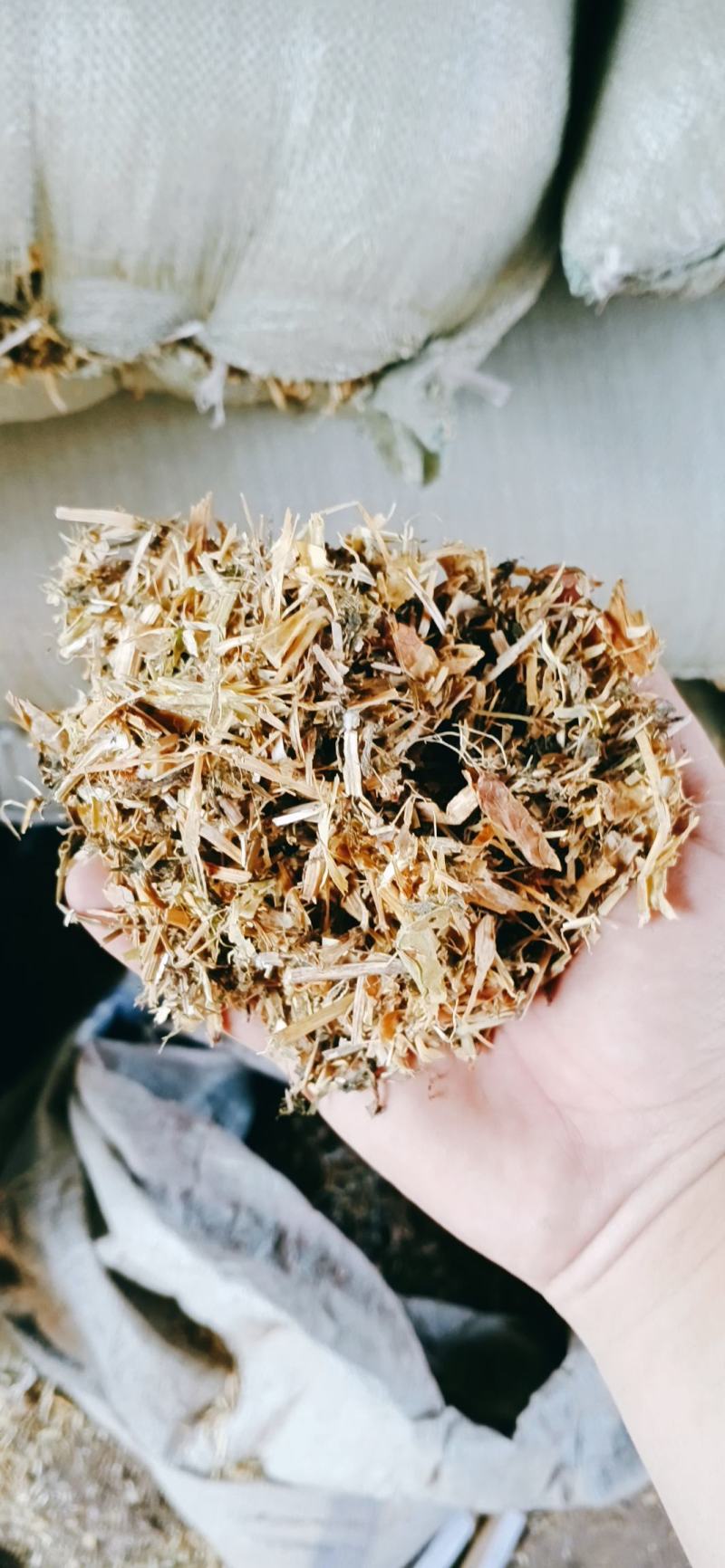 豌豆秧，牛羊好料质量保障品质优渥！价格公道