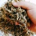 豌豆秧，牛羊好料质量保障品质优渥！价格公道