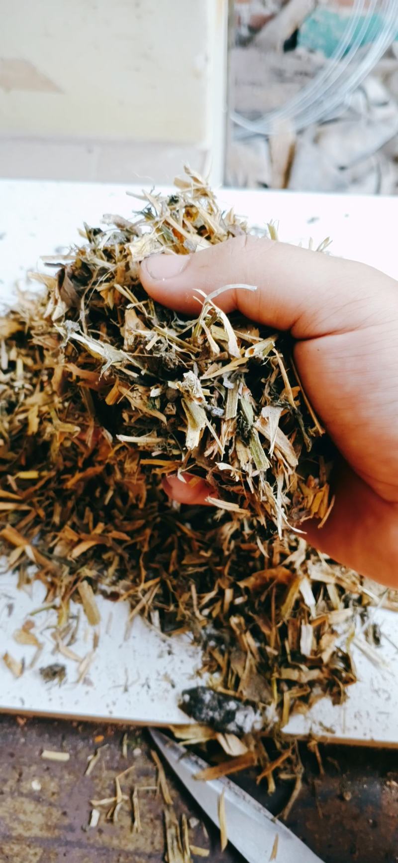 豌豆秧，牛羊好料质量保障品质优渥！价格公道