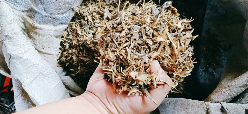 豌豆秧，牛羊好料质量保障品质优渥！价格公道