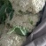 精品蔬菜实力代办团队