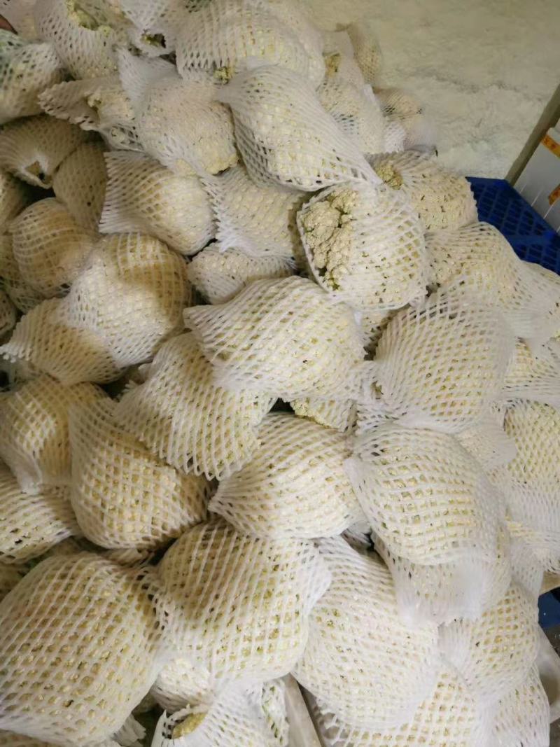 精品蔬菜实力代办团队