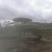 造型松造型油松造型黑松盆景