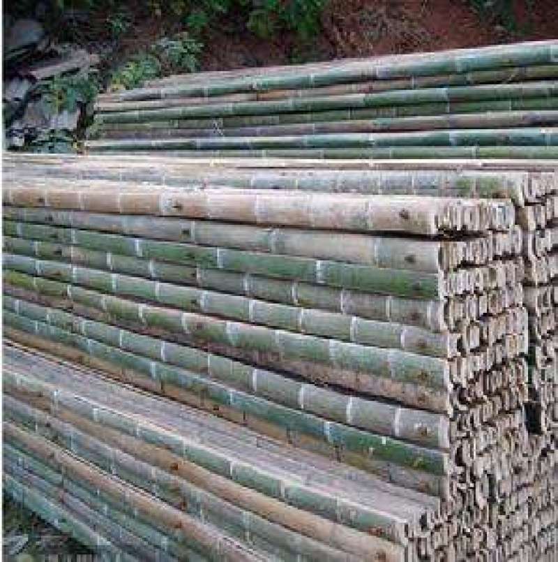 【精品】竹架板全年供应建筑专用质量过硬欢迎电联