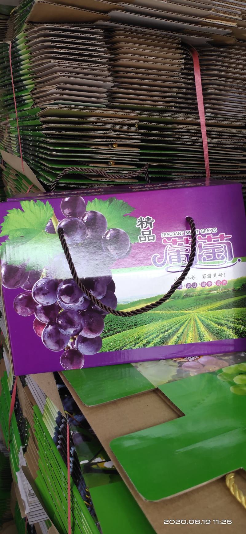 河北张家口巨峰葡萄热销中，