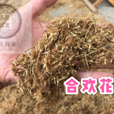 合欢花保庆药业批发合欢花实物拍摄合欢花