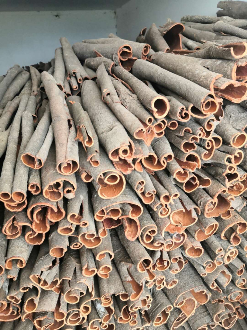 中通桂皮，桂皮干，薄皮干货桂皮渣肉桂