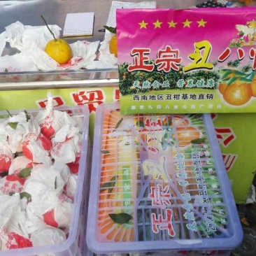 东莞水果市场代卖各地蜜桔