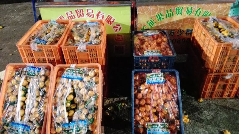 东莞水果市场代卖各地蜜桔