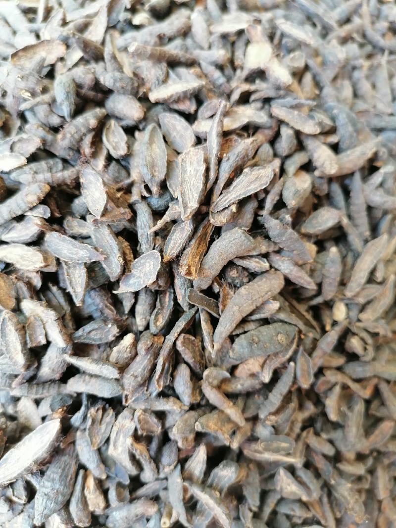 香附子，个子，切片，三蒸三煮，精制，专业批发