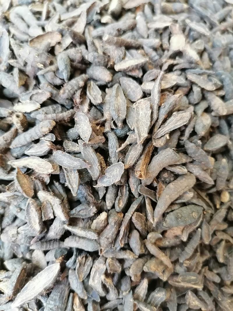 香附子，个子，切片，三蒸三煮，精制，专业批发