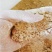 玉米次粉植物性蛋白饲料厂家直销优质货源价格实惠