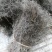 广西桂林野生白花蛇舌草：一手货源