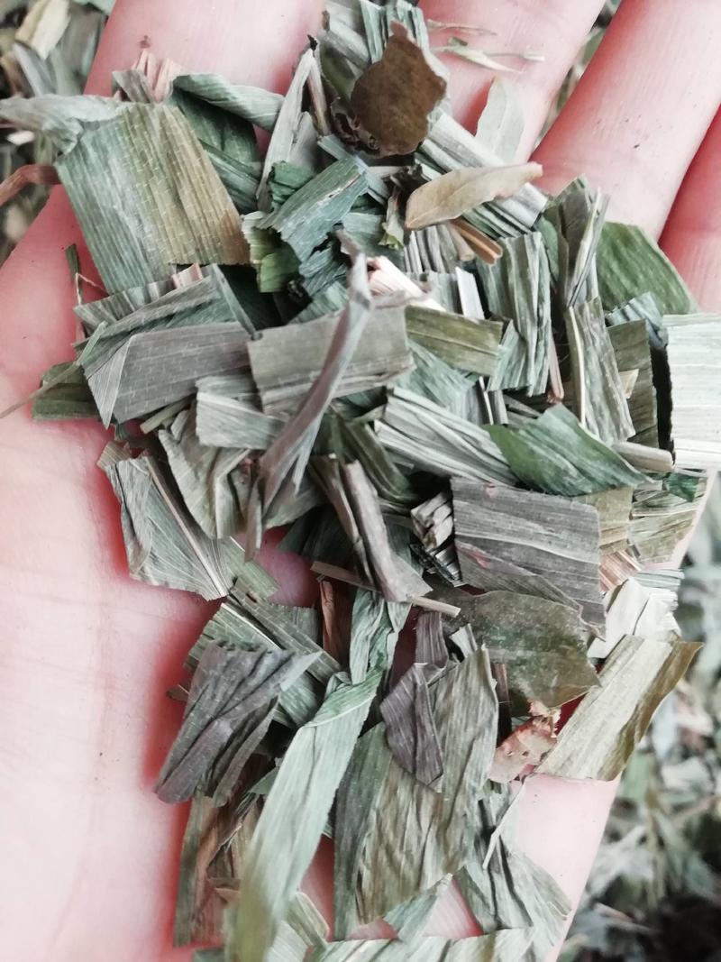 淡竹叶中药材淡竹叶茶今年新货新鲜晒干