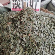淡竹叶中药材淡竹叶茶今年新货新鲜晒干
