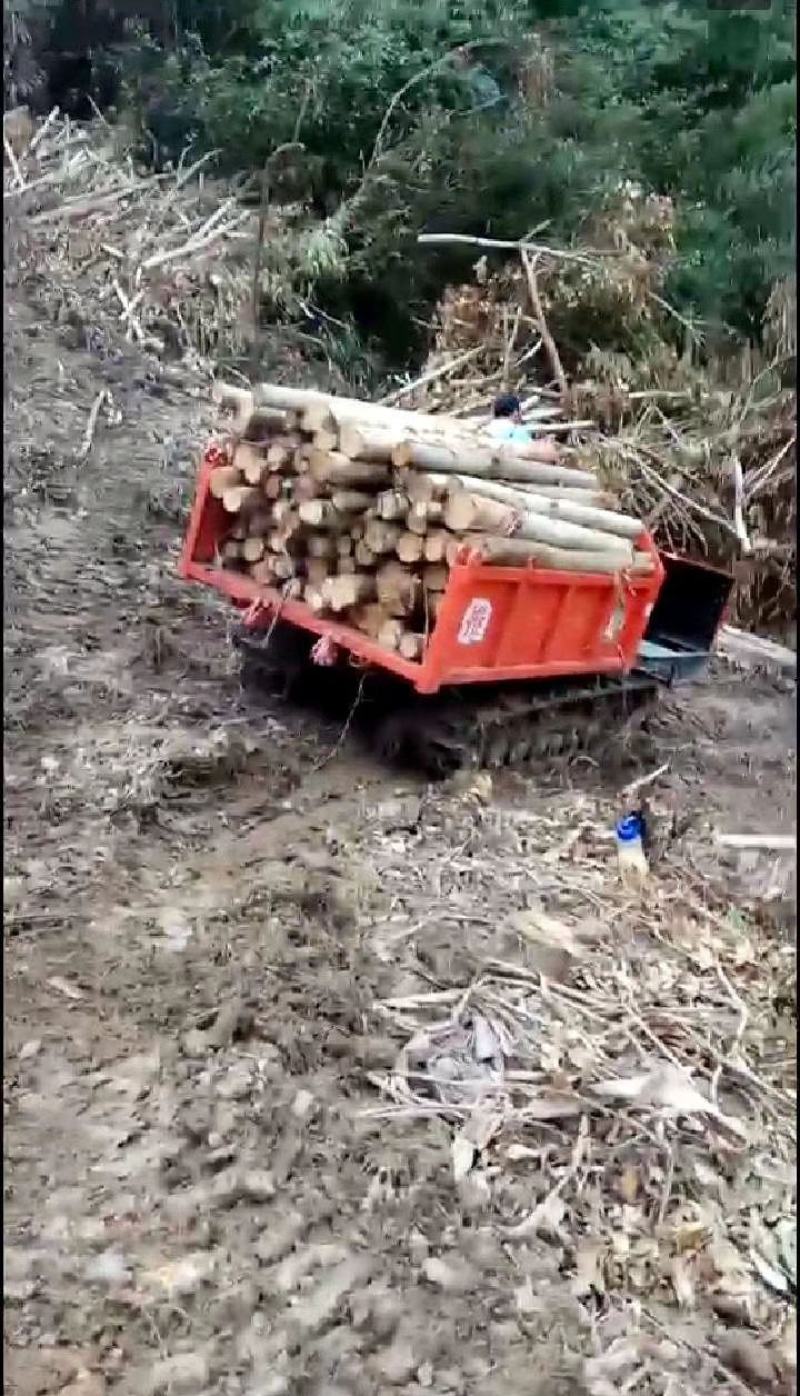 低油耗小型果实运输履带车定金发货货到试机果园收取运输履