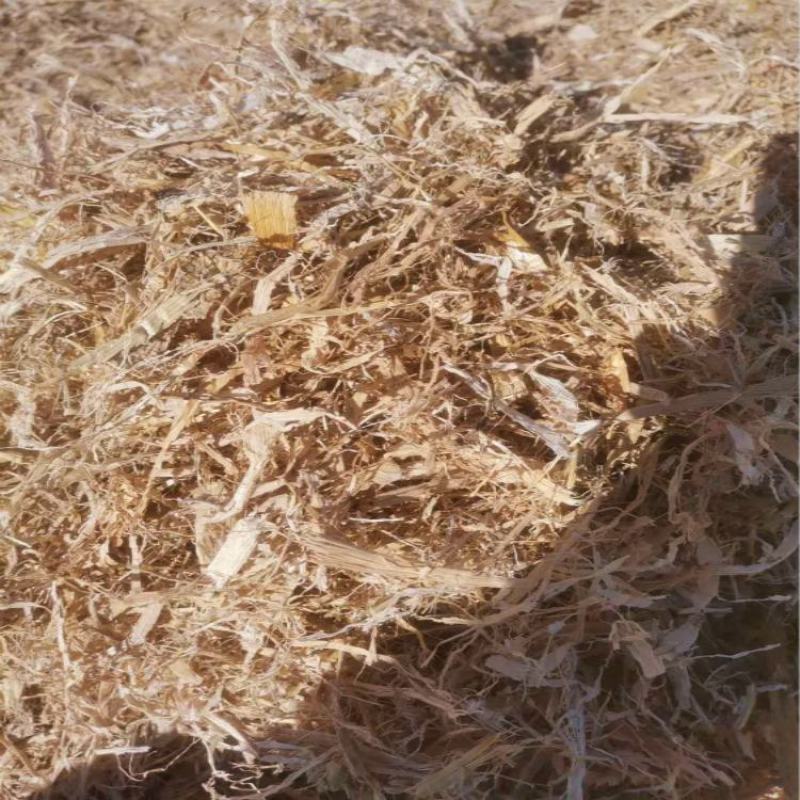 精选优质玉米秸秆草厂家加工精致货源充足稳定价格低
