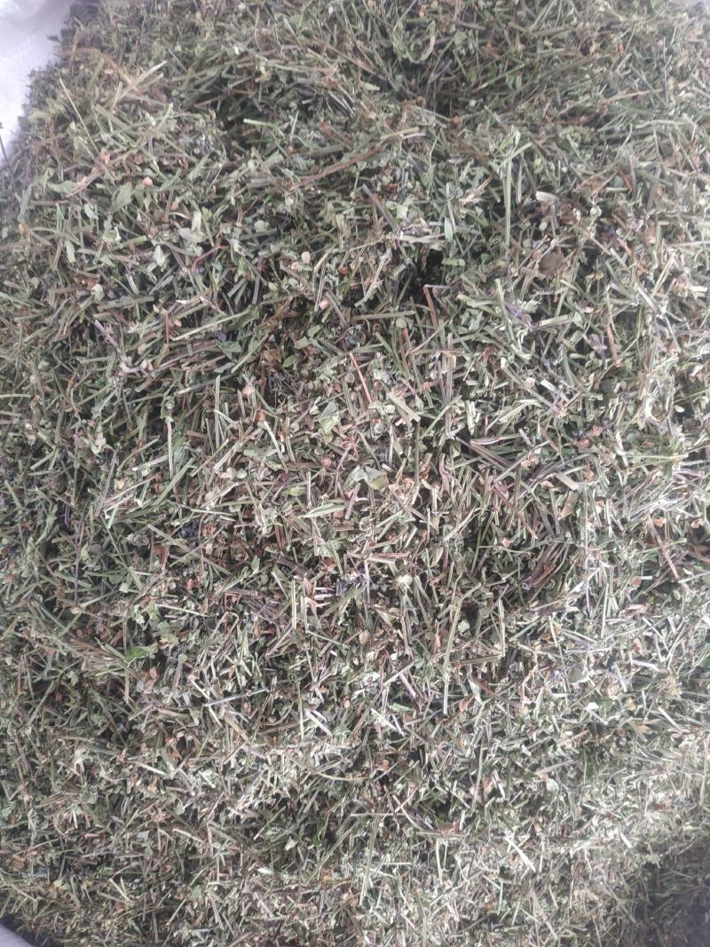 半枝莲～新货小叶半枝莲～~1公斤起售～