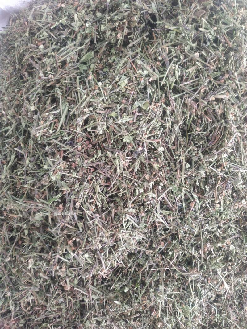 半枝莲～新货小叶半枝莲～~1公斤起售～