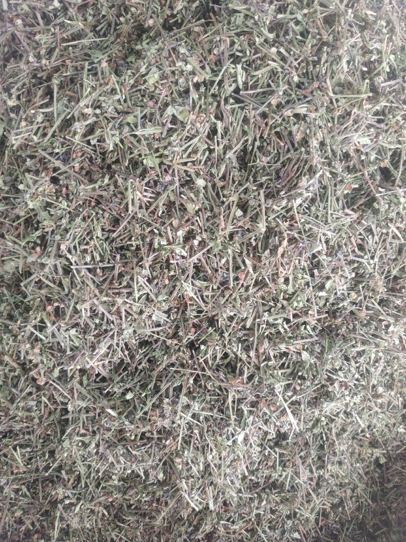 半枝莲～新货小叶半枝莲～~1公斤起售～
