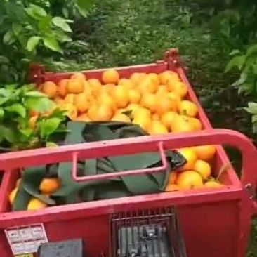 小型履带运输车农场果园自用液压自卸电子打火