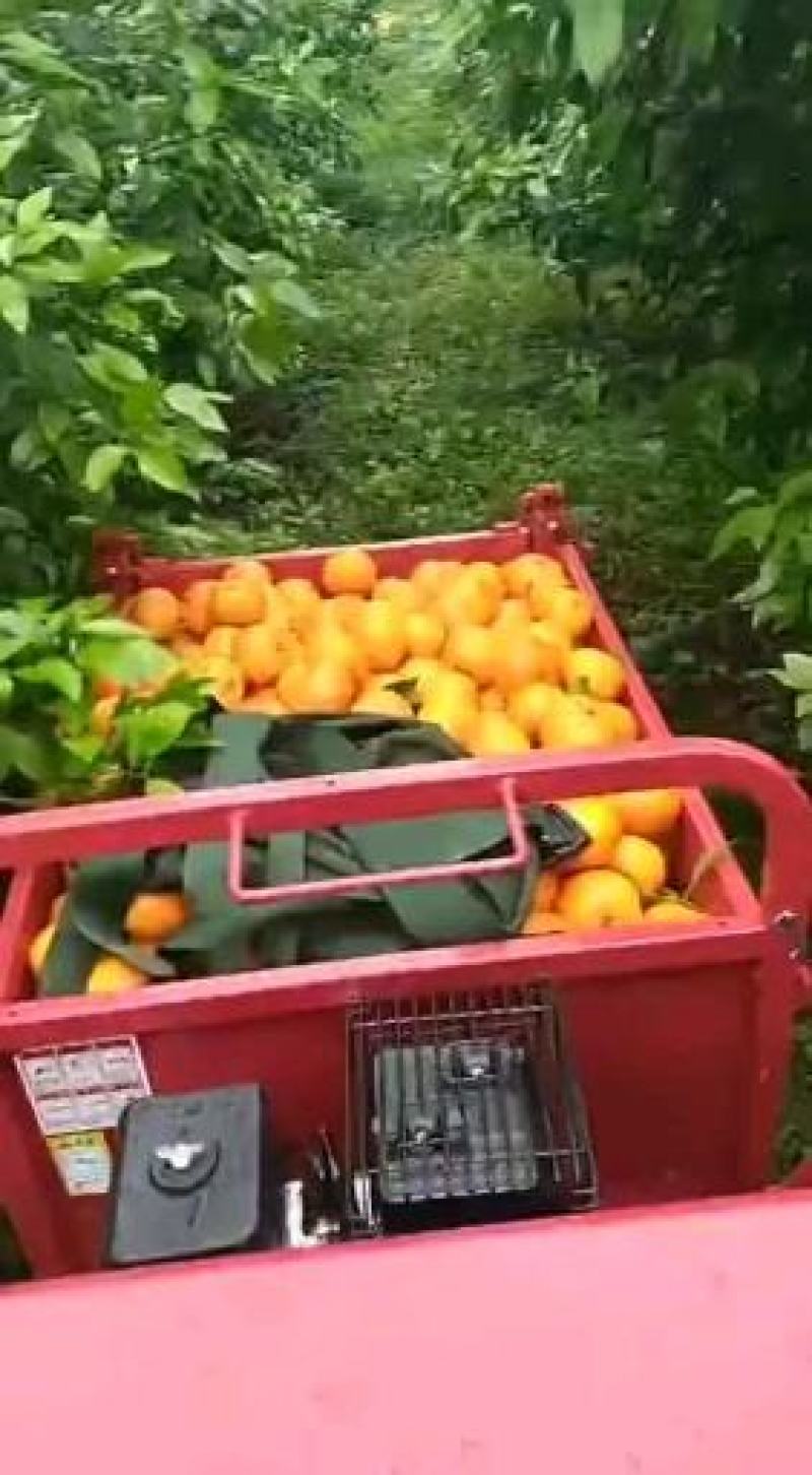 小型履带运输车农场果园自用液压自卸电子打火