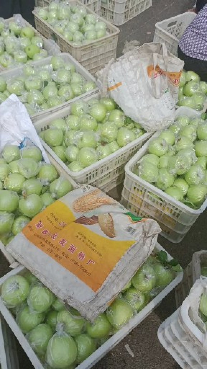 金帅苹果诚信共赢，欢迎新老顾客前来选购金帅，，。…苹果