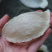 纯干挑5A大盏燕盏燕窝进口印尼干度9批发代发50g720