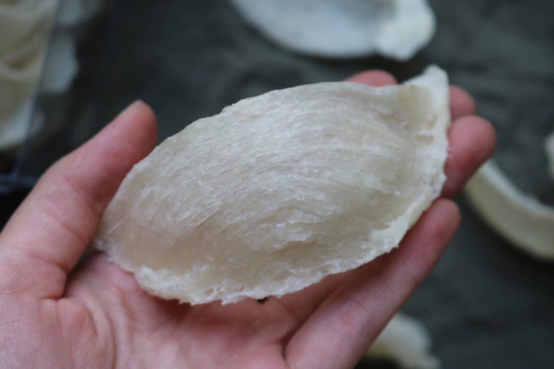 纯干挑5A大盏燕盏燕窝进口印尼干度9批发代发50g720