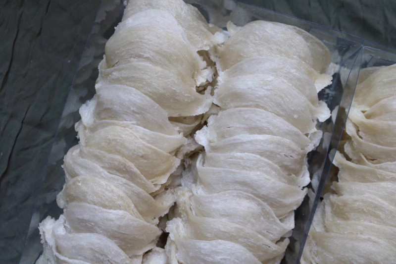纯干挑5A大盏燕盏燕窝进口印尼干度9批发代发50g720