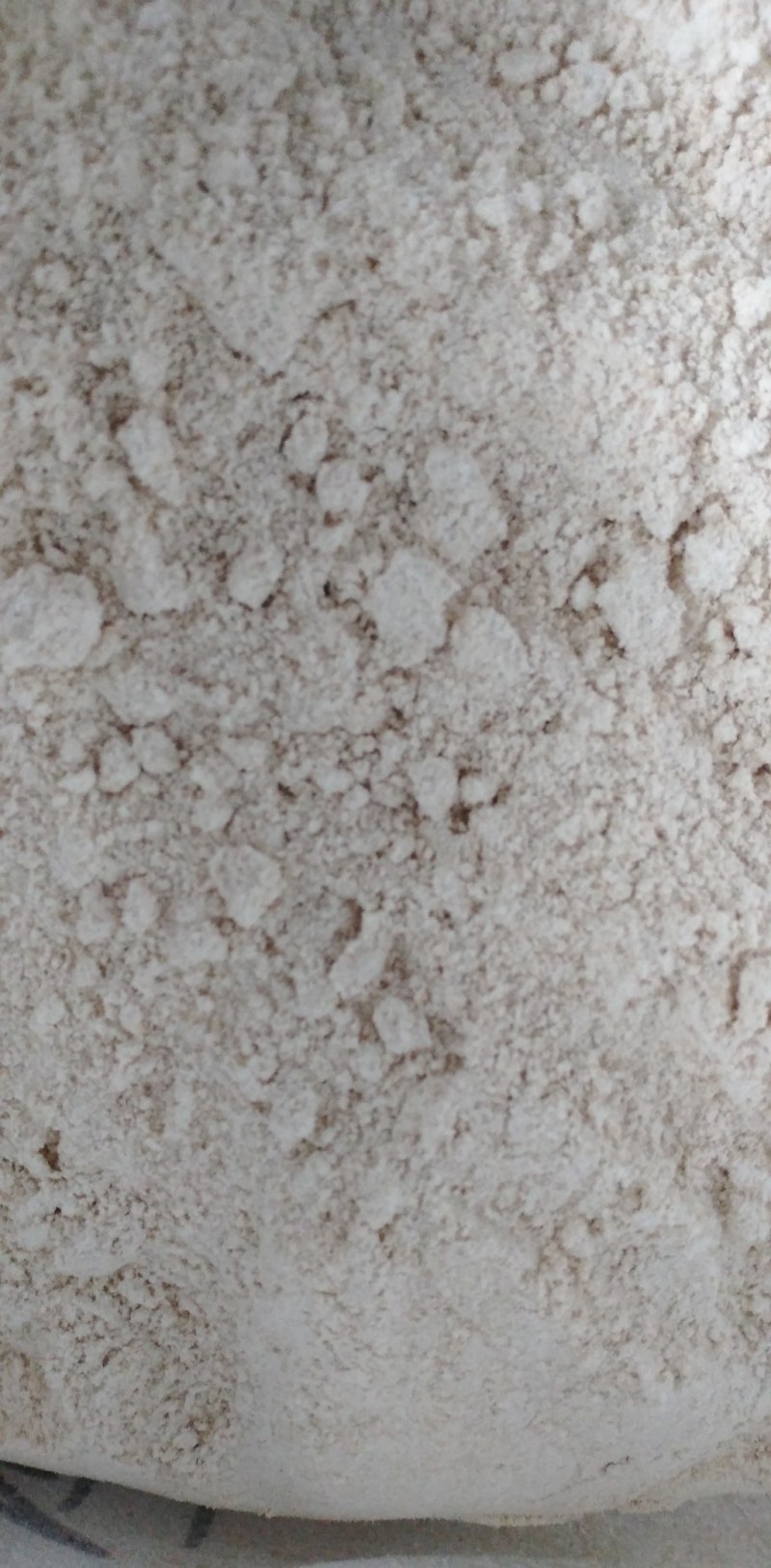 燕麦面精选工厂装精选干净燕麦磨制成面大量批发量大优惠