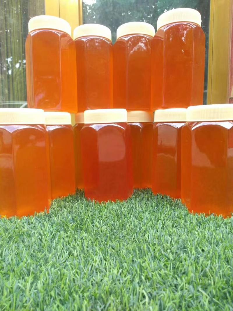 新疆特产品土蜂蜜，纯蜂蜜