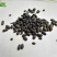 五灵脂碳药本寒号虫粪寒雀粪量大优惠