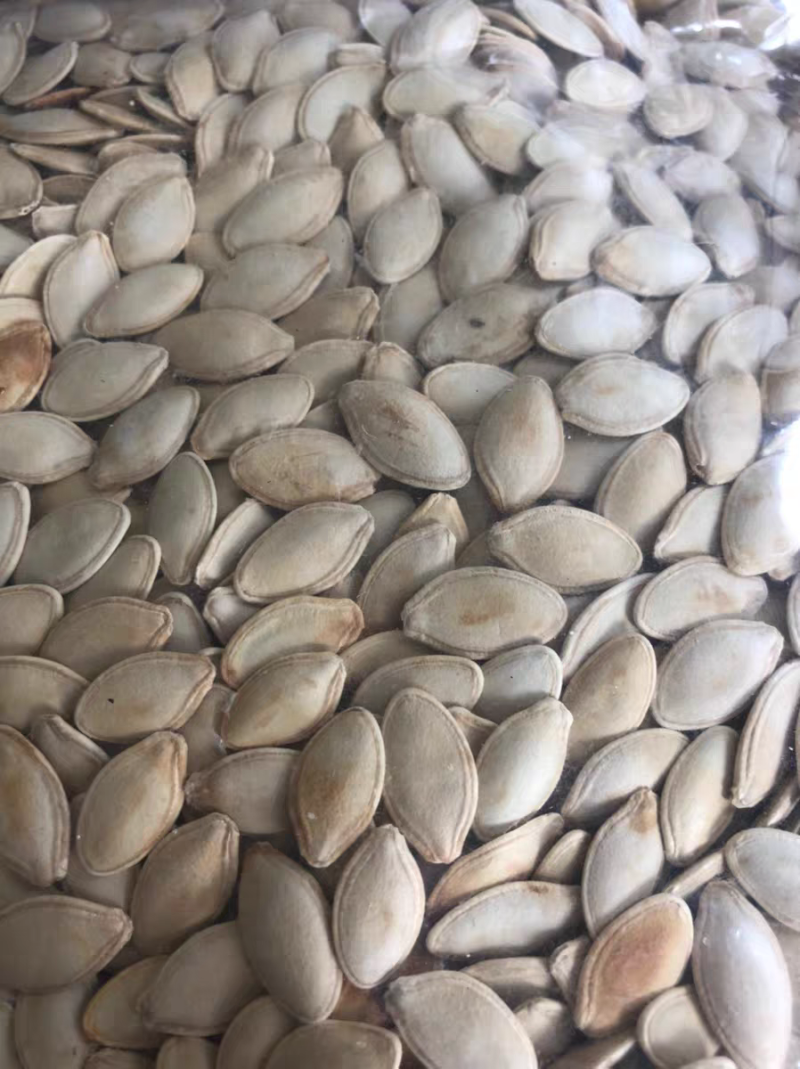 南瓜子炒货原味生熟任选盐焗五香南瓜籽零食袋装